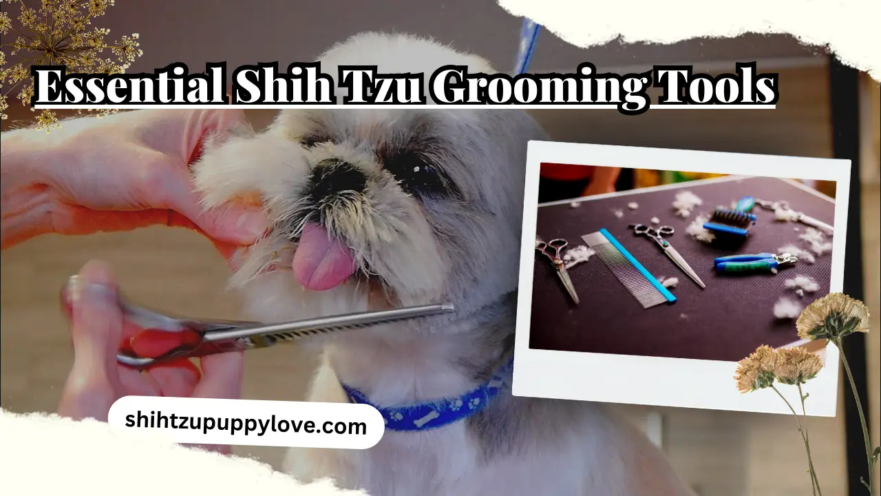 Shih Tzu Grooming Tools