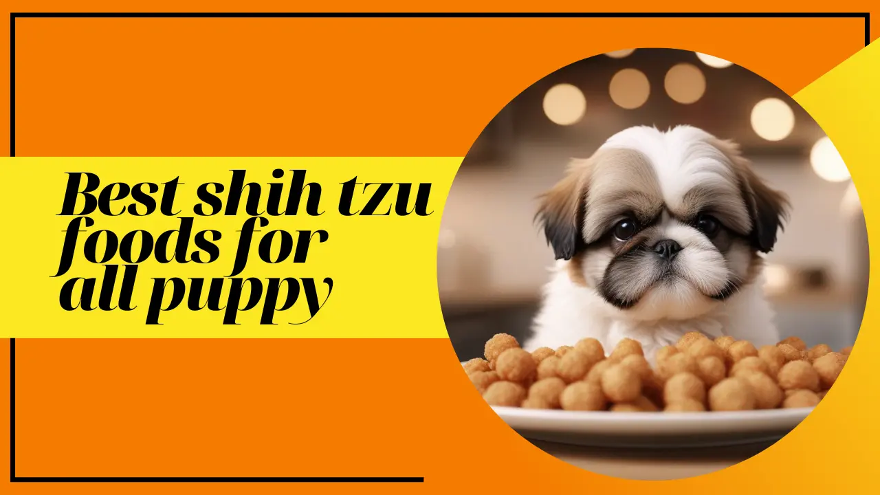 Best shih tzu foods for all puppy