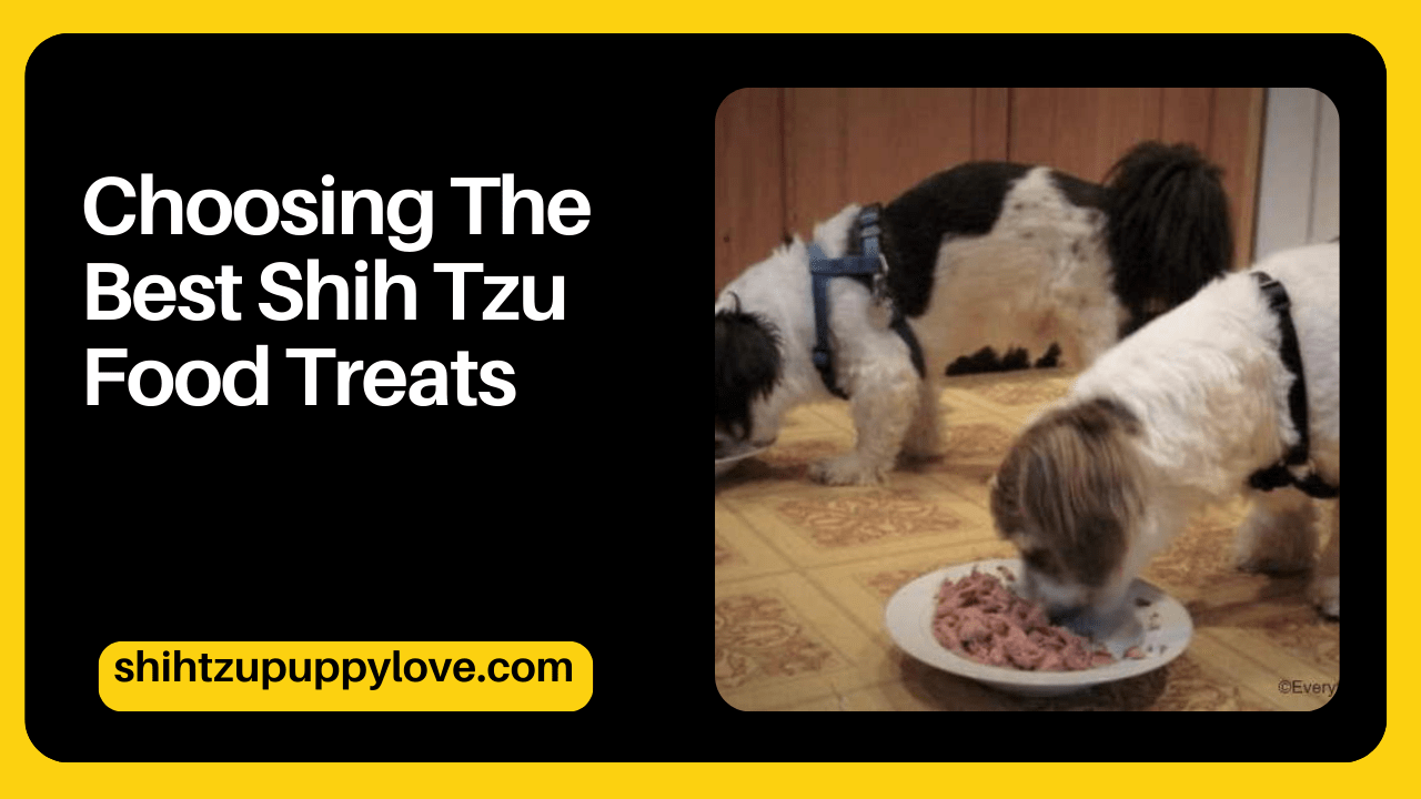 Choosing The Best Shih Tzu Food Treats