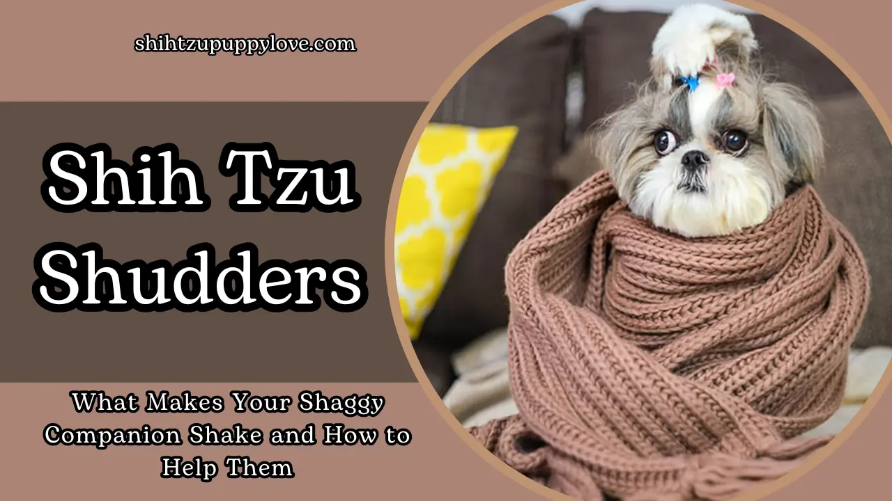 Shih Tzu Shudders