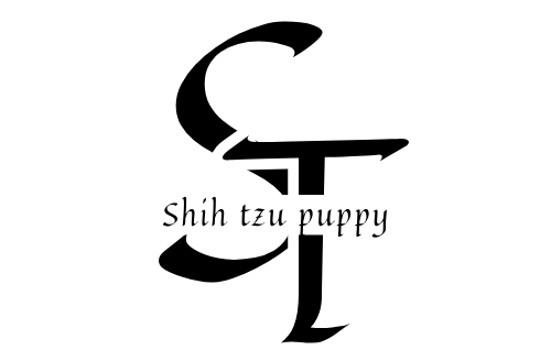 shih tzu puppy